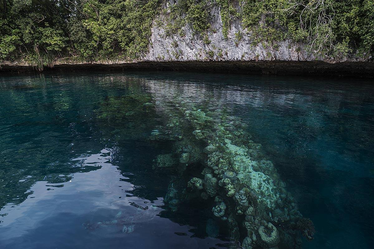 stranded #18, palau, 2015 (fishing boat that sank during a typhoon in the 80s)