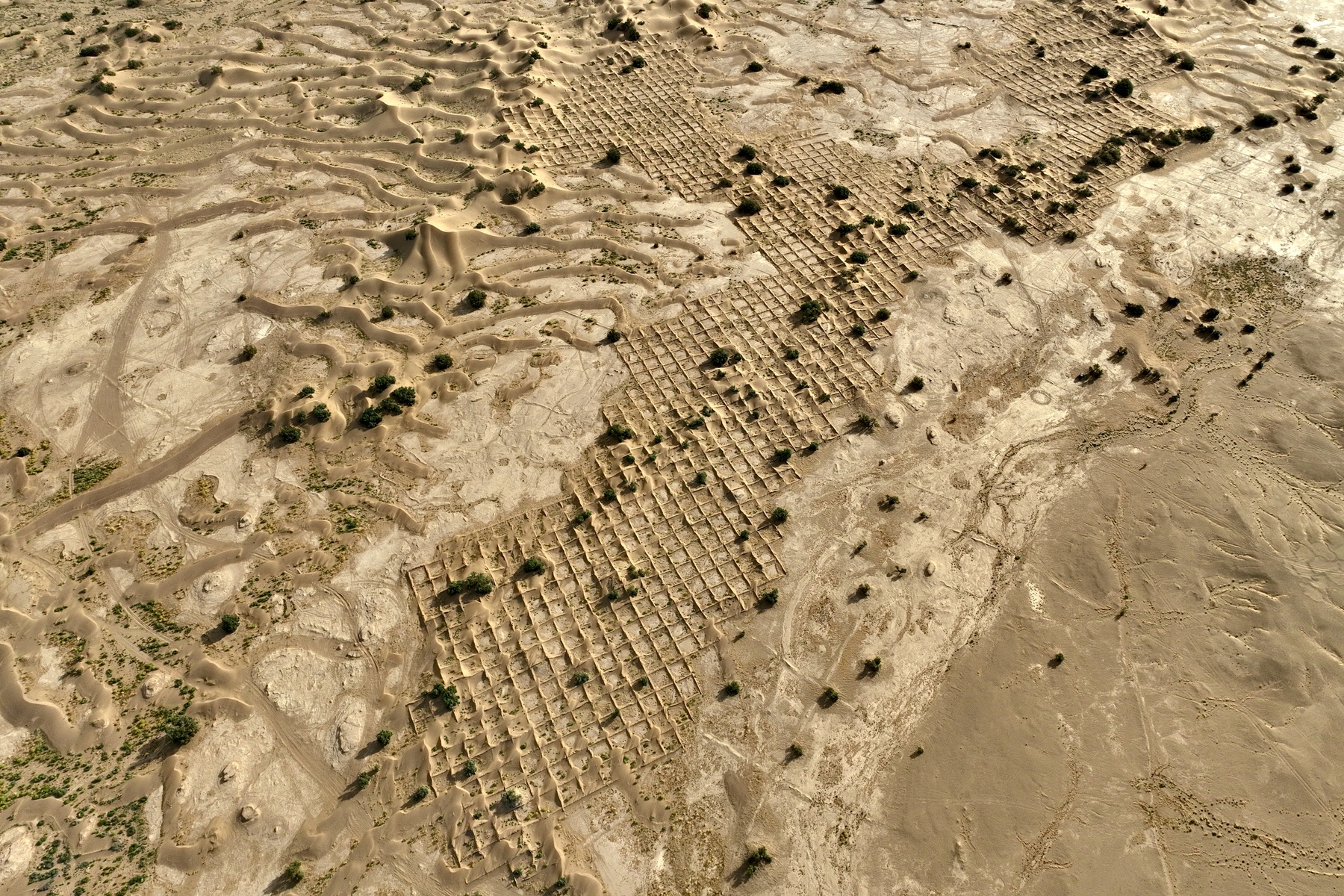 leftscape #45, morocco, 2025 (sand protection made of date branches stuck into the sand to protect nearby gardens that are now abandoned)