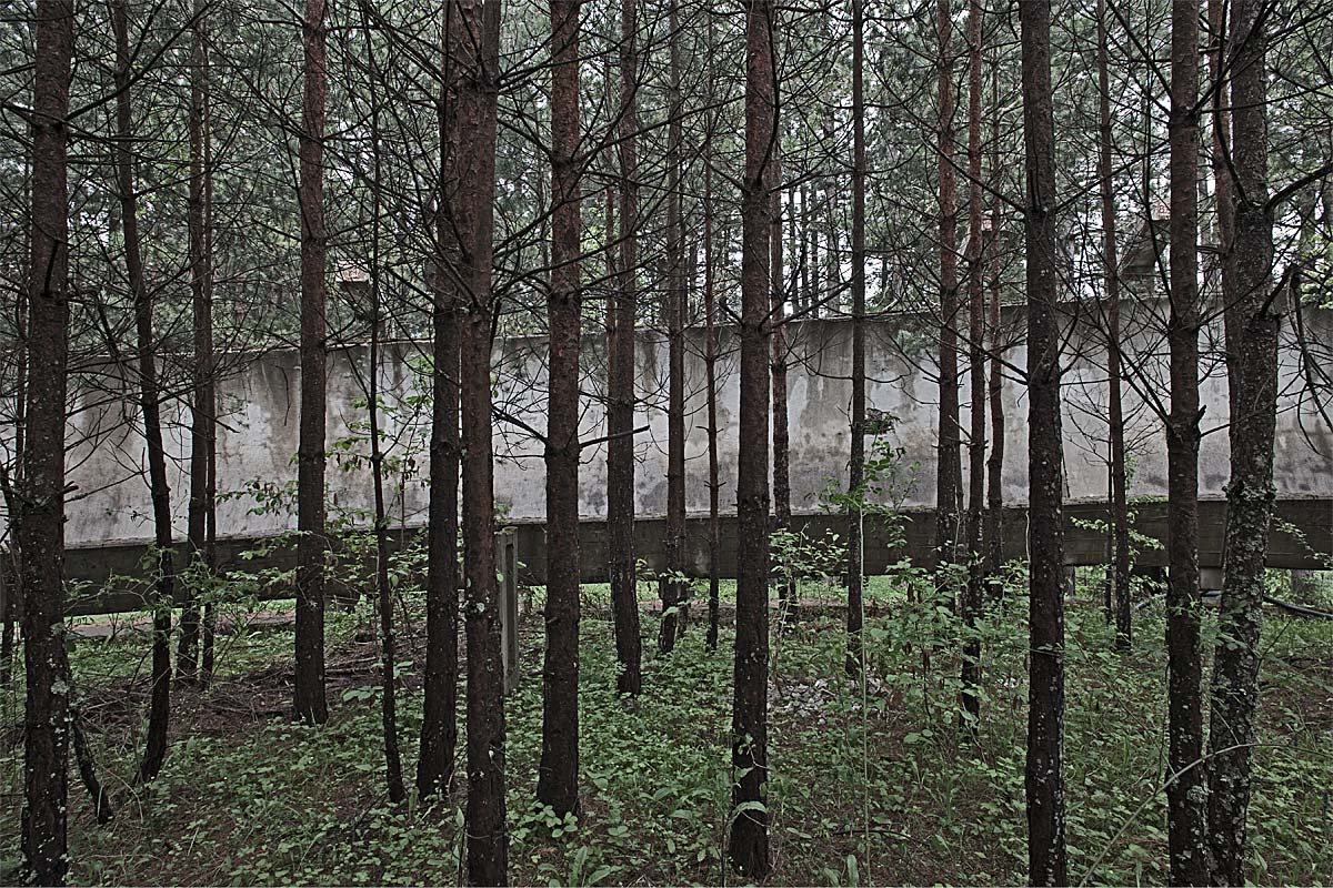 doppelhammer, olympic spirit #19, bosnia herzegovina, 2011 (bobsleigh winter games 1984 where d. schauerhammer won double-gold for the DDR. the trees started growing after the war)