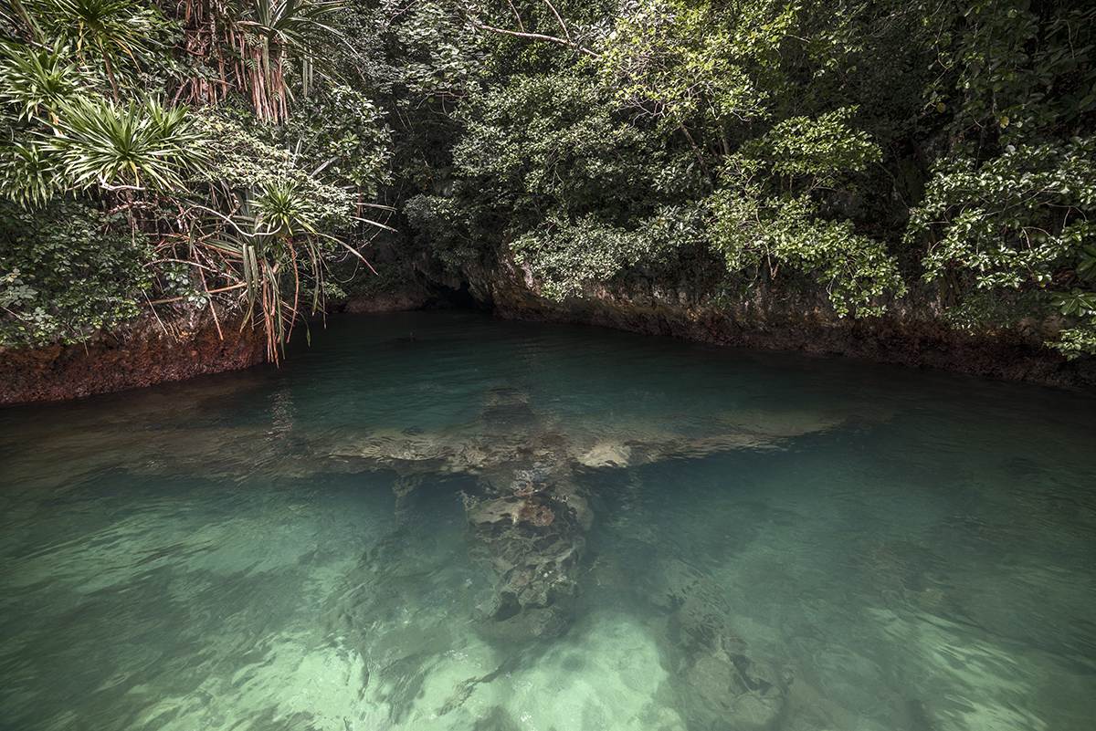 floating shallow, rip #81, palau, 2015 (japanes 'jake' seaplane hiding under water since 70 years)